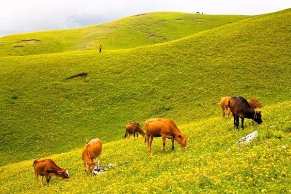 這里藏有三峽風光、草原景致，卻少有人知道！昆明出發(fā)1小時就能到！