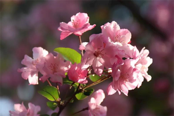 擇一城，愛一生，昆明，絕對是你不錯的選擇！